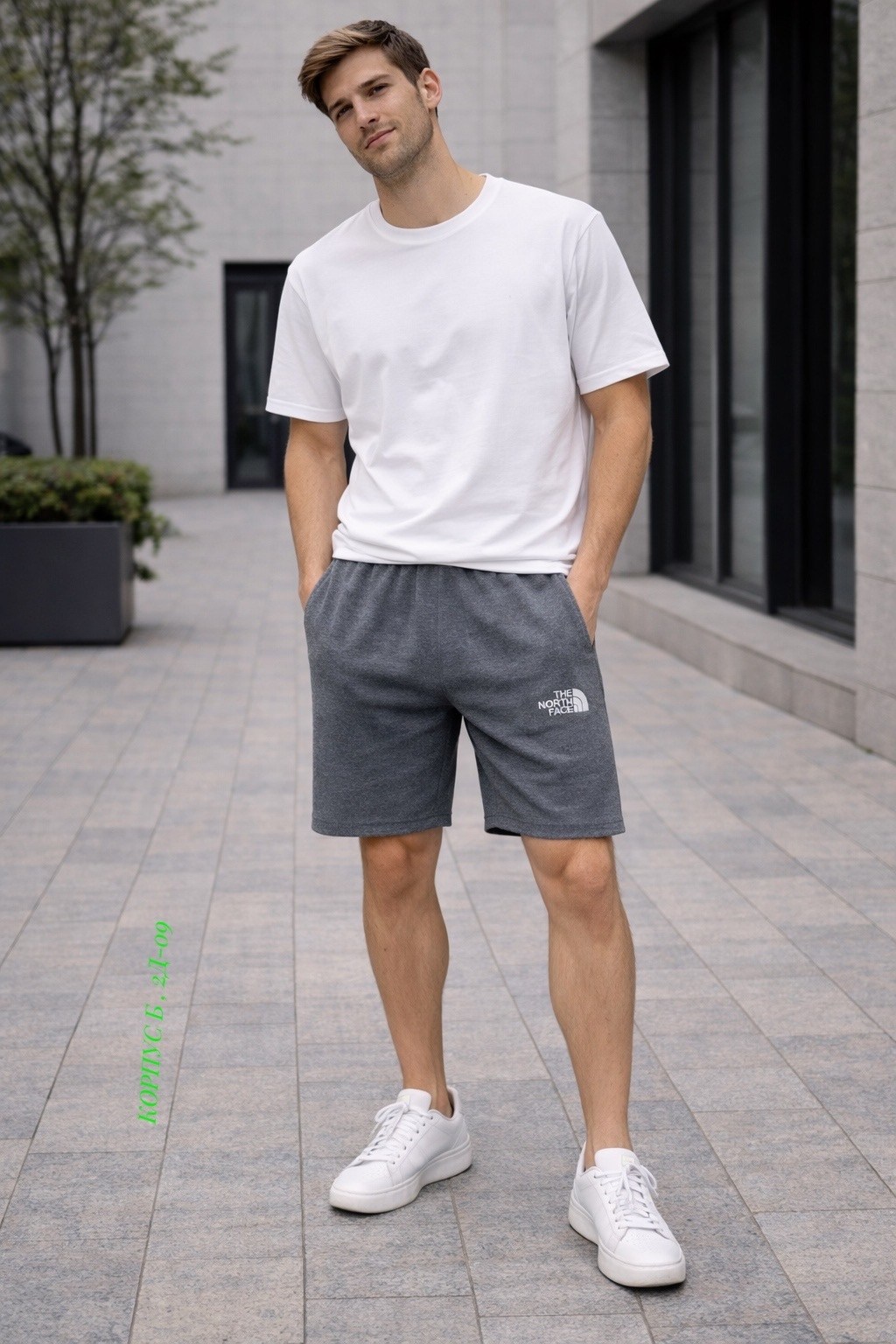 мужские шорты the north face,шорты the north face,мужские шорты the north face standart short light,мужские шорты,мужские спортивные шорты