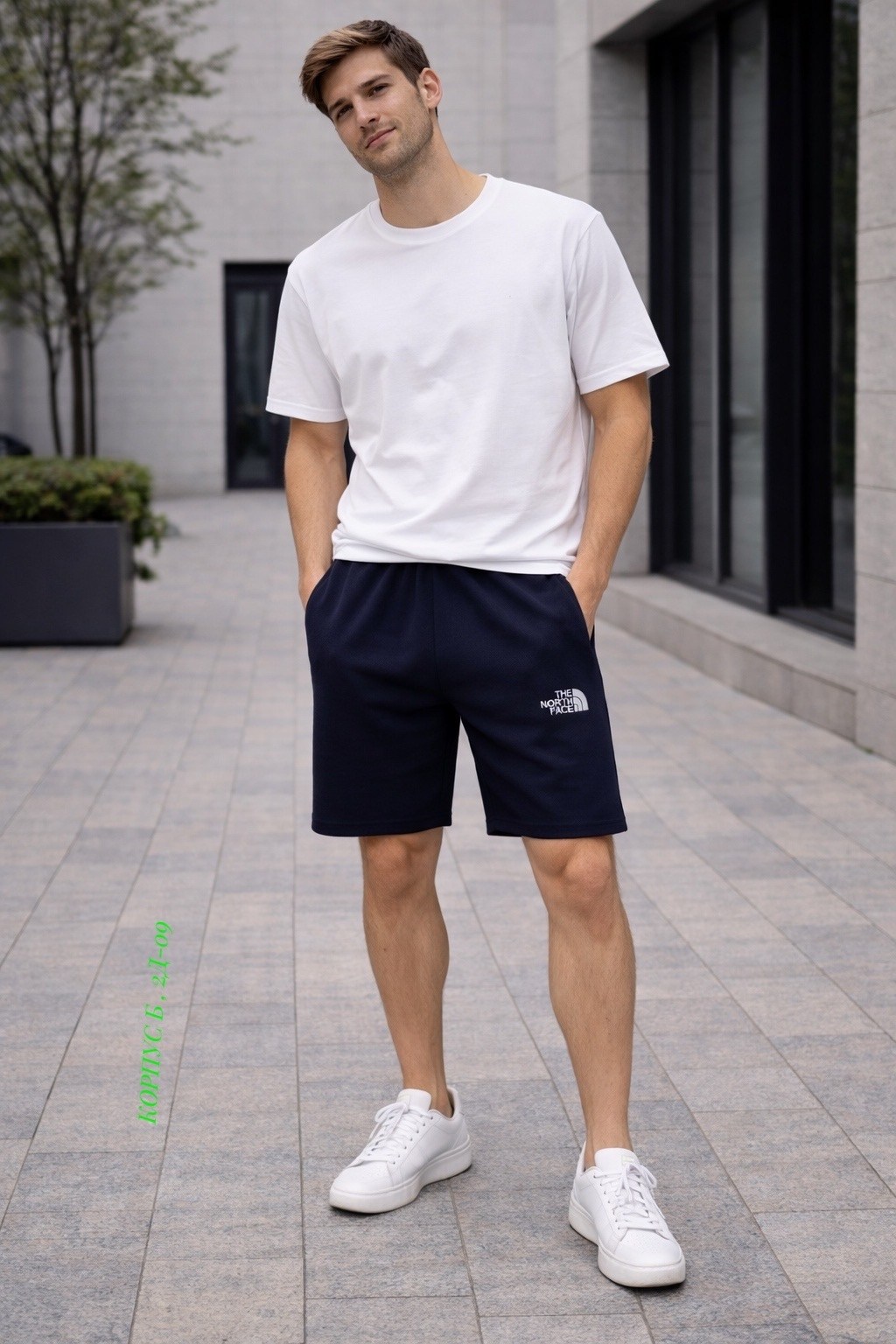 мужские шорты the north face,шорты the north face,мужские шорты the north face standart short light,мужские шорты,мужские спортивные шорты