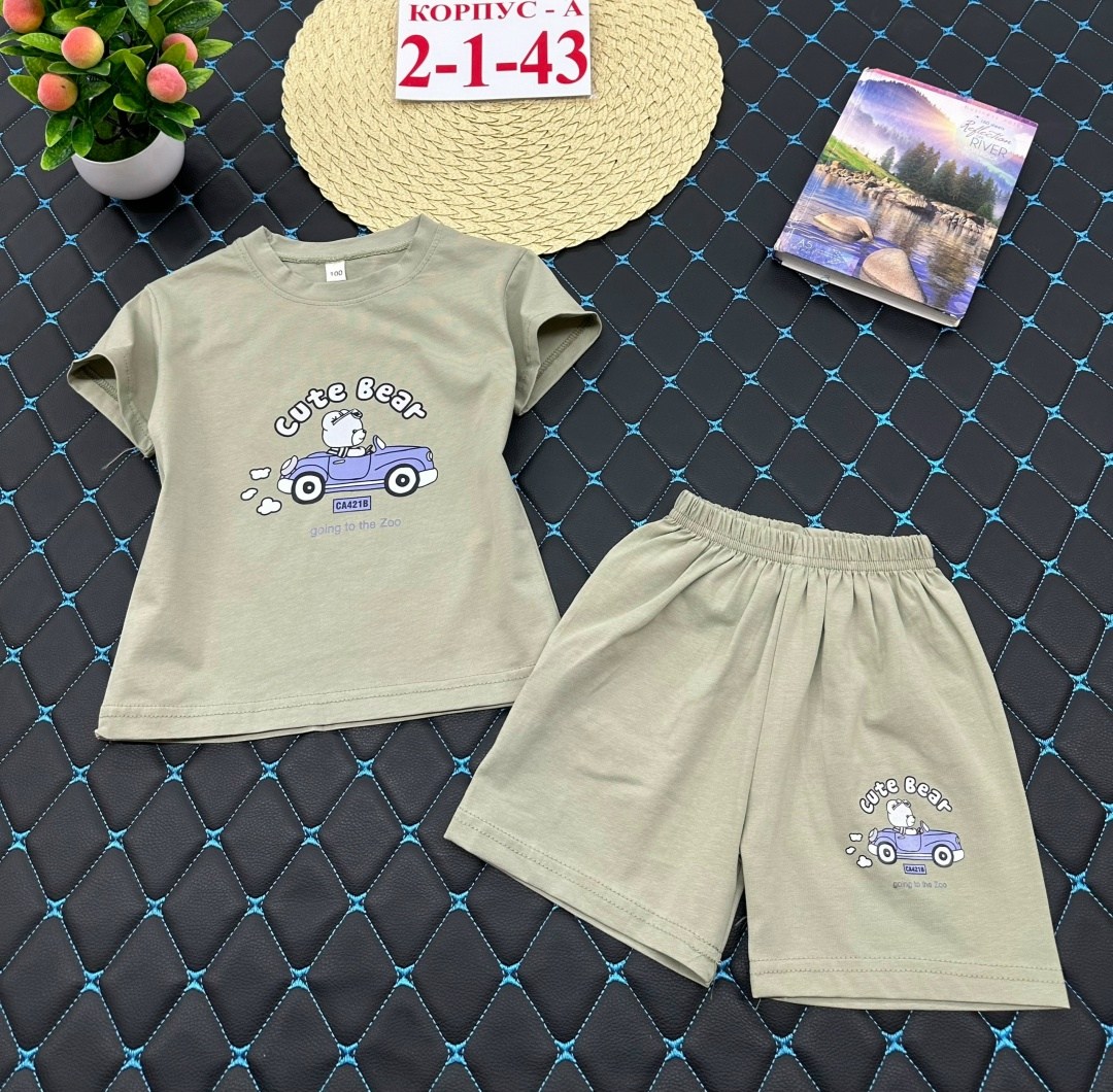 костюм комплекты,костюм детский,костюм повседневный,комплект одежды для мальчика,детские костюмы