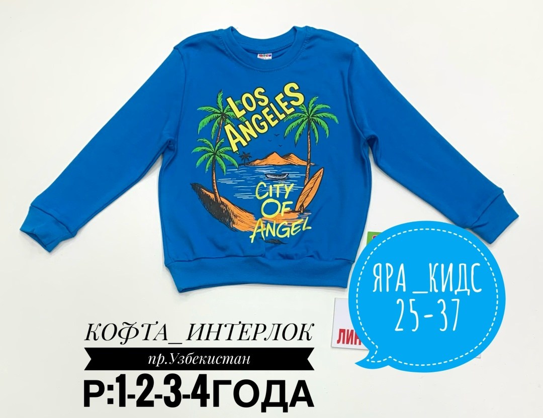 кофта для мальчика,джемпер детский,толстовка для мальчика,детский свитшот,детская кофта