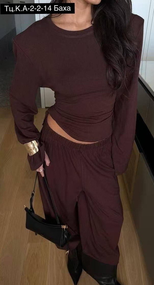 стильные костюмы,костюм женский,брючный костюм,костюм двойка,брючный костюм двойка