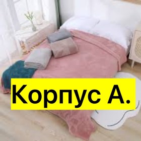 Одежда