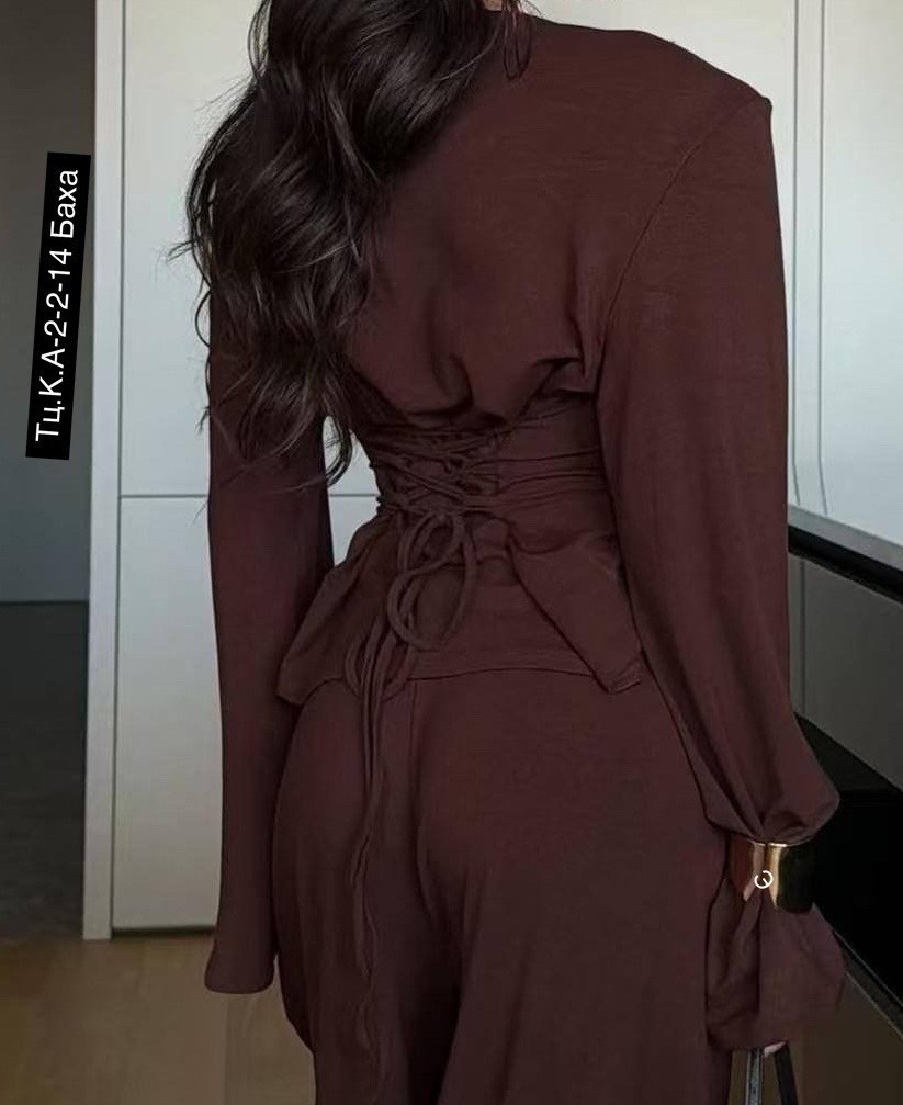 стильные костюмы,костюм женский,брючный костюм,костюм двойка,брючный костюм двойка