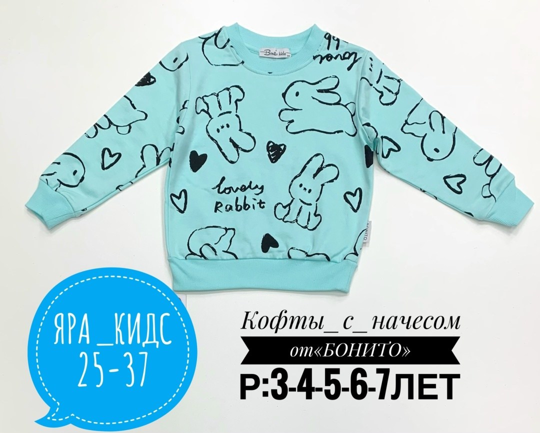 детский свитшот,свитшот детский с начесом,кофта для девочек,толстовка кофта,детская кофта