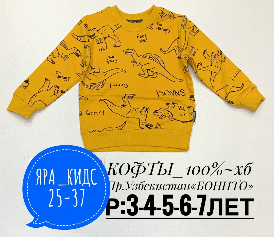 детский свитшот,свитшот детский с начесом,кофта для девочек,толстовка кофта,детская кофта