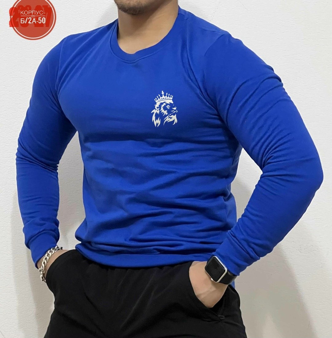 кофта мужской,мужские джемпера,мужские свитшоты,свитшот мужская,мужской лонгслив