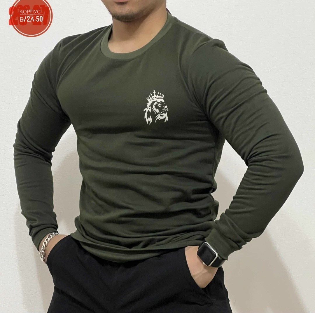 кофта мужской,мужские джемпера,мужские свитшоты,свитшот мужская,мужской лонгслив