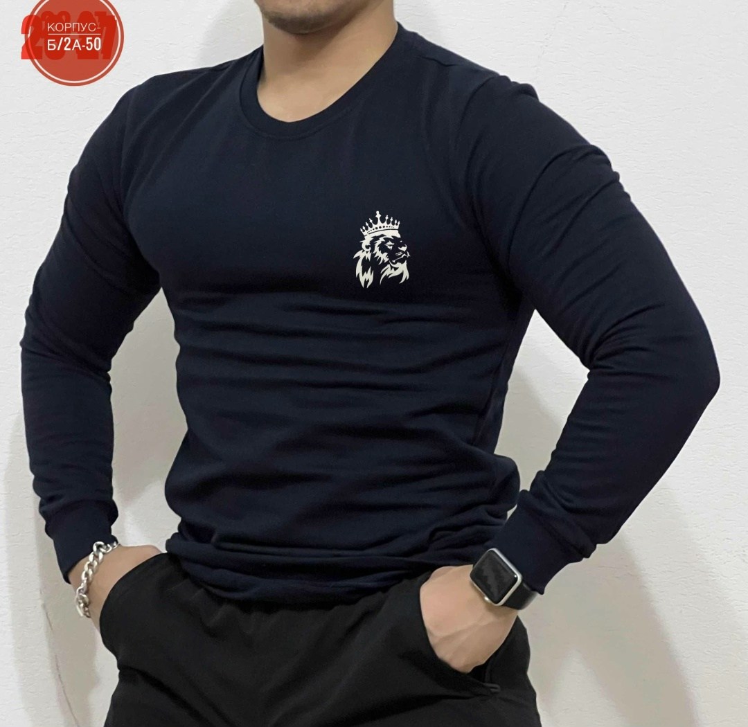 кофта мужской,мужские джемпера,мужские свитшоты,свитшот мужская,мужской лонгслив