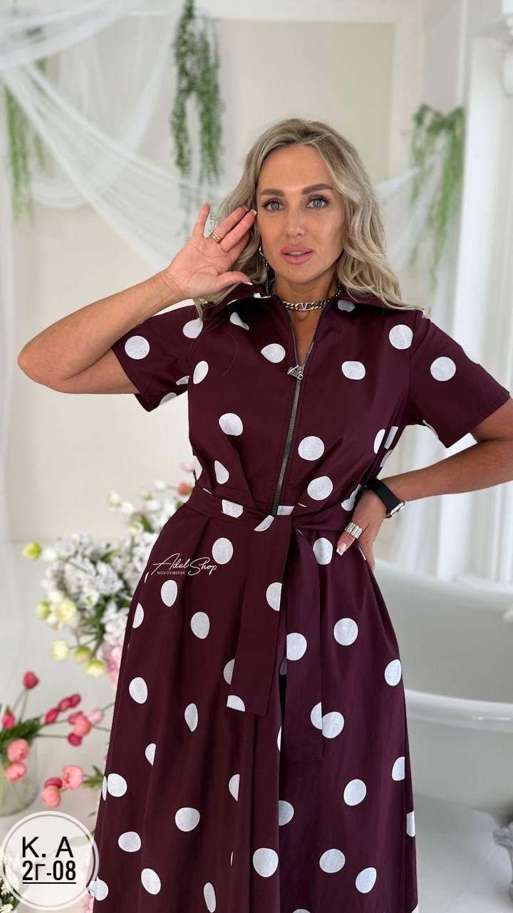платья,модное платье,женская платье,платья в горошек,платье модели