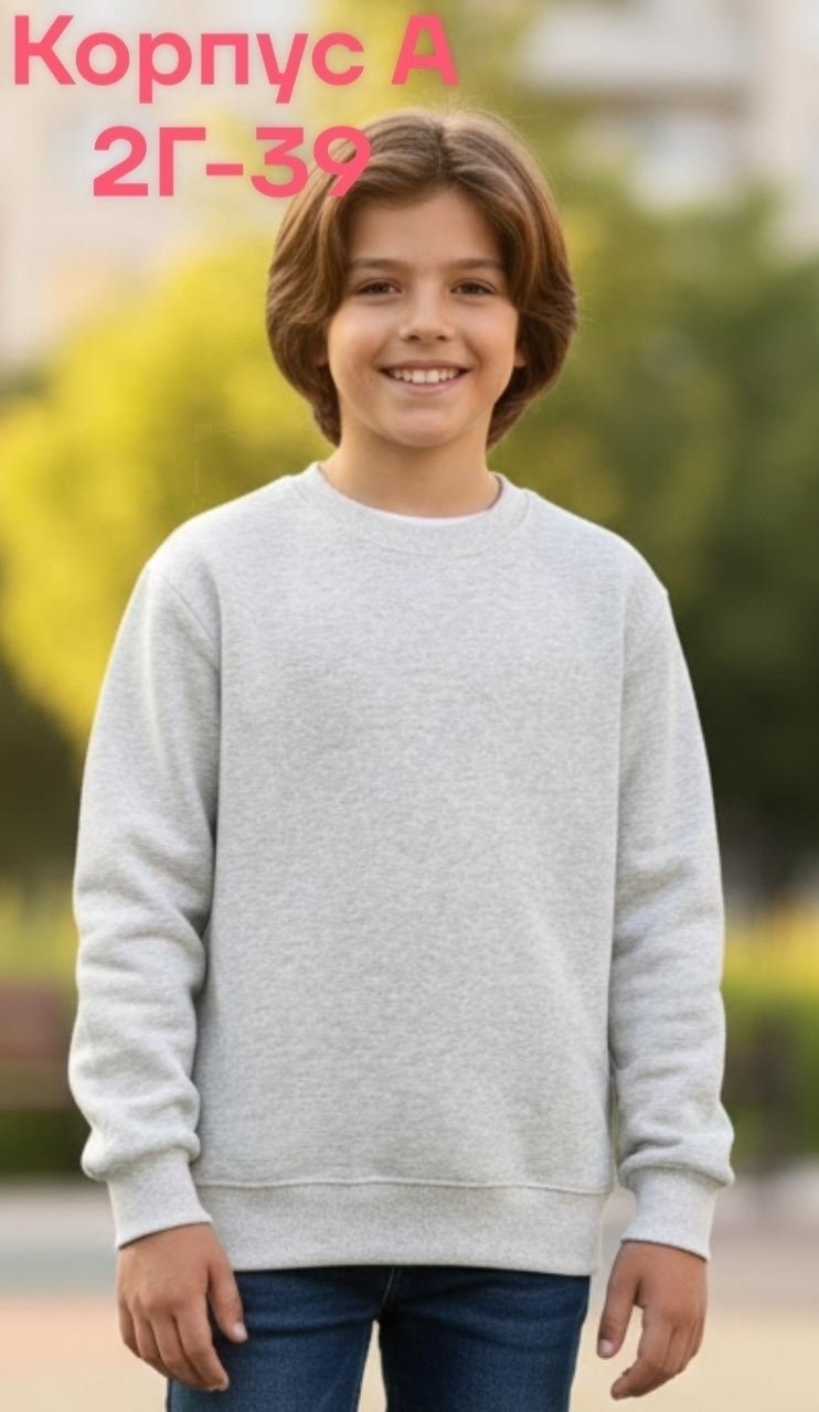 свитшот повседневный,свитшот кофта,свитшот детский,свитшот в школу,свитшот женская