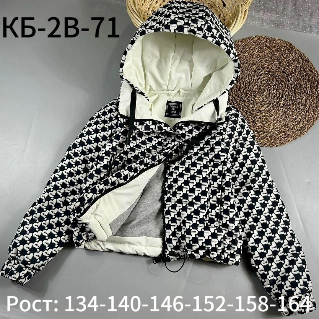 куртки ,куртка детская,демисезонная куртка для девочек,детские куртки,