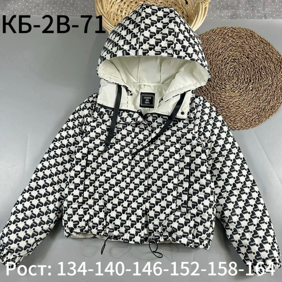 куртки ,куртка детская,демисезонная куртка для девочек,детские куртки,