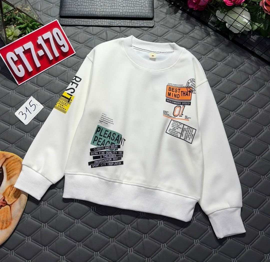 свитшот для мальчика,толстовки свитшот,толстовка для мальчика,толстовка теплая,толстовка