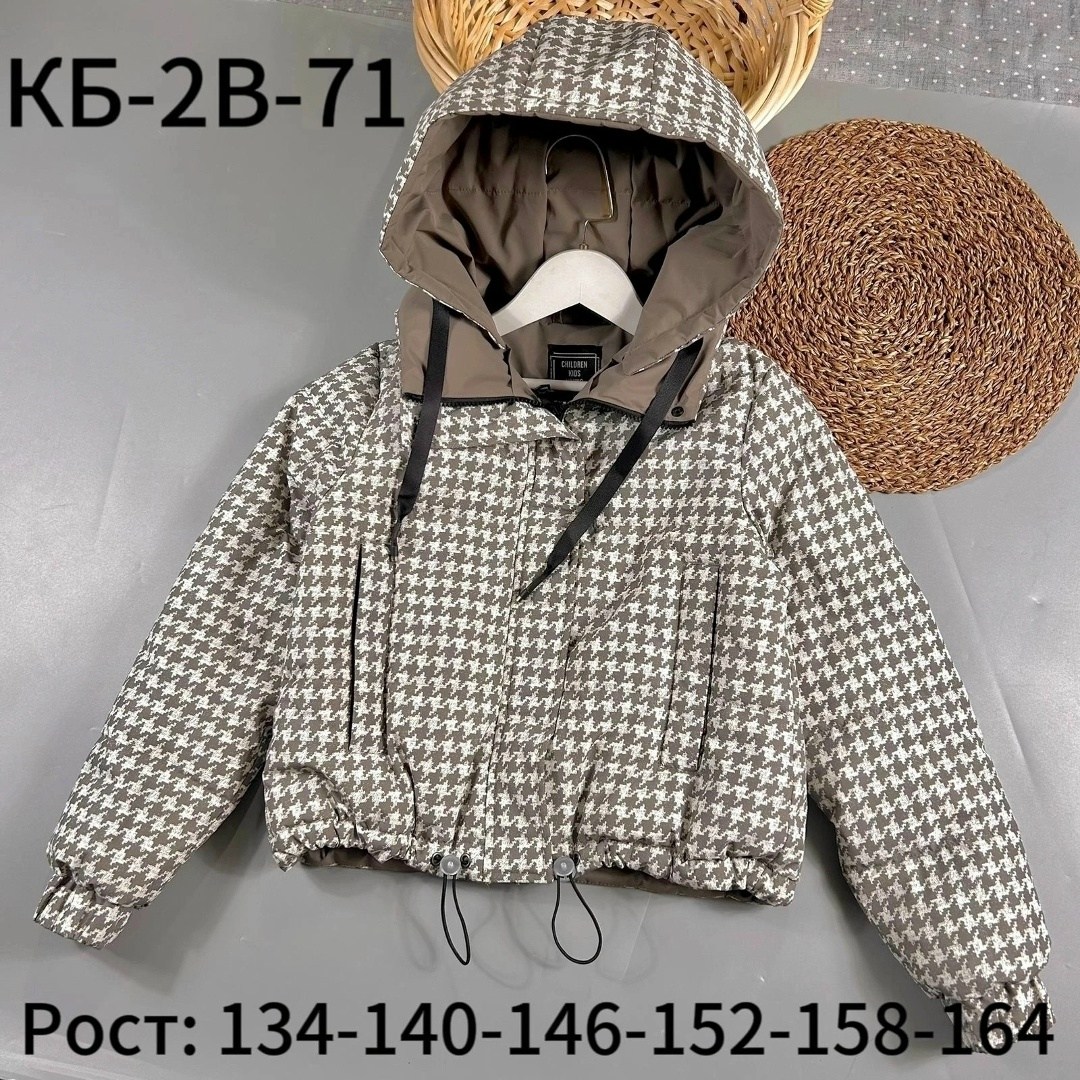 куртки ,куртка детская,демисезонная куртка для девочек,детские куртки,