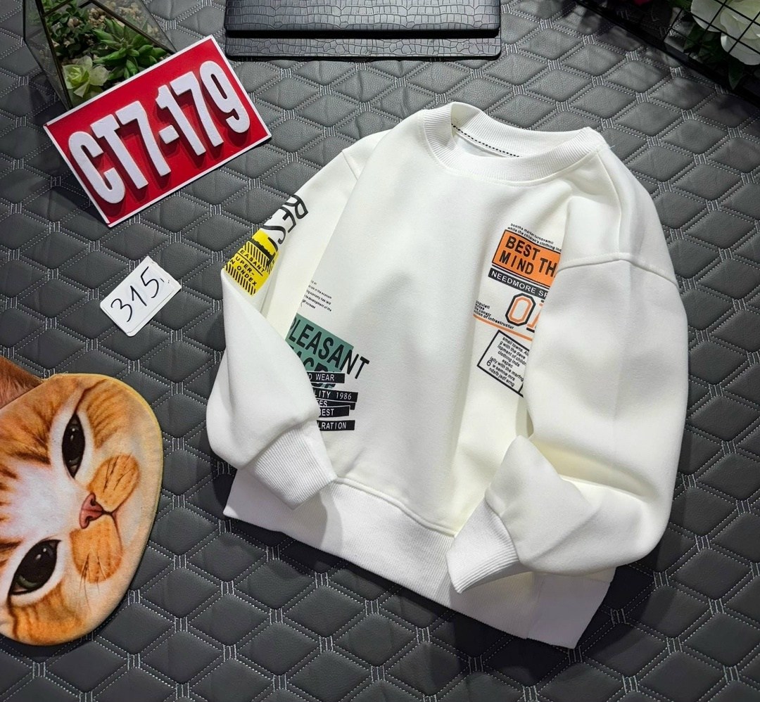 свитшот для мальчика,толстовки свитшот,толстовка для мальчика,толстовка теплая,толстовка