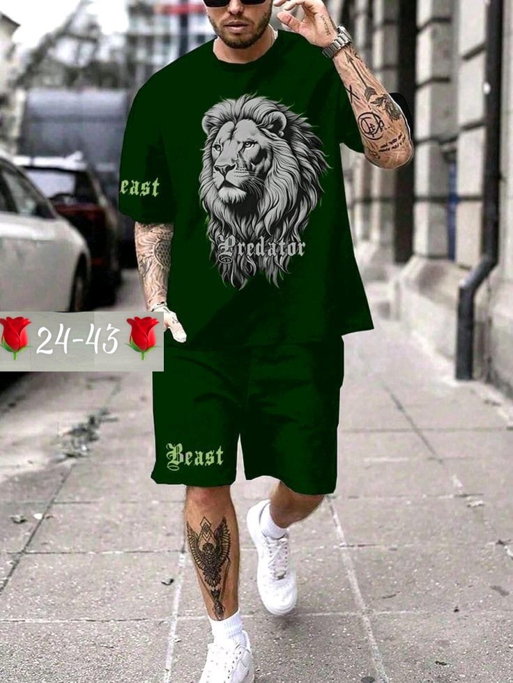 шорты мужские с принтом,модные мужские футболки,одежда мужская,костюм спортивный мужской с принтом,мужской костюм с шортами