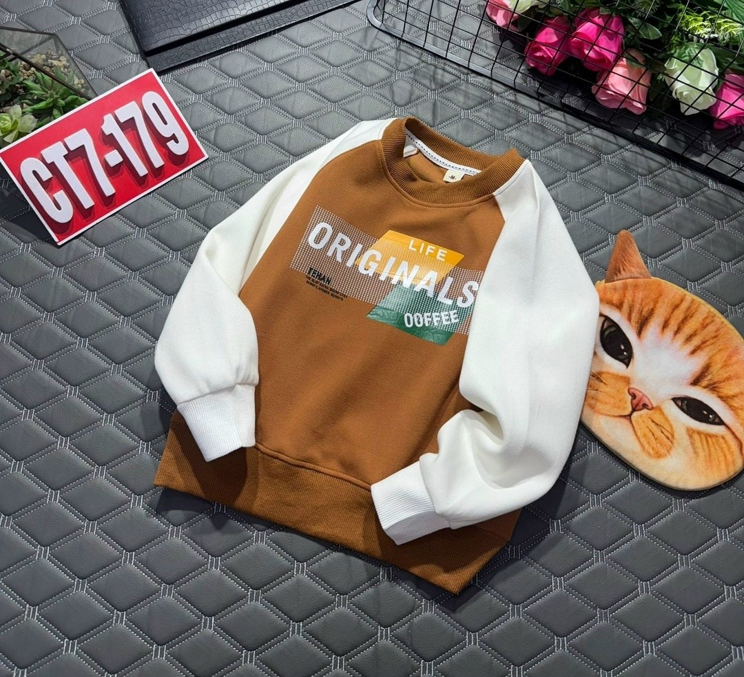 свитшот для мальчика,толстовки свитшот,толстовка для мальчика,толстовка теплая,толстовка