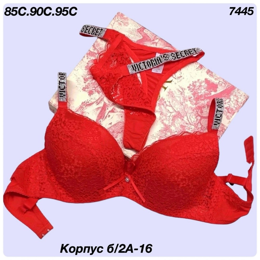 комплект нижнего белья,комплект нижнего белья женские,бюстгальтер комплект,комплект женских,кружевное белье комплект