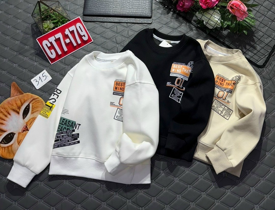 свитшот для мальчика,толстовки свитшот,толстовка для мальчика,толстовка теплая,толстовка