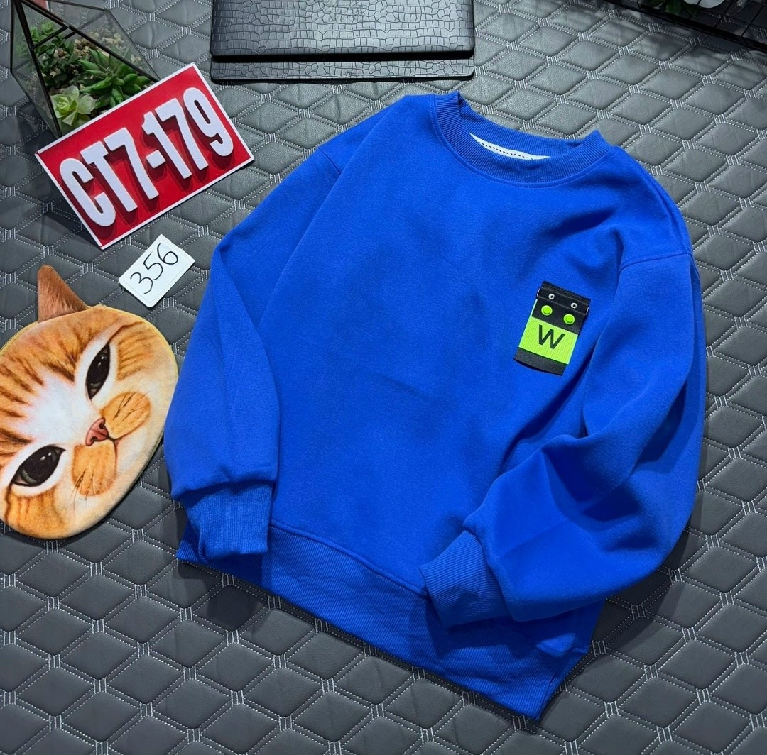 свитшот для мальчика,толстовки свитшот,толстовка для мальчика,толстовка теплая,толстовка