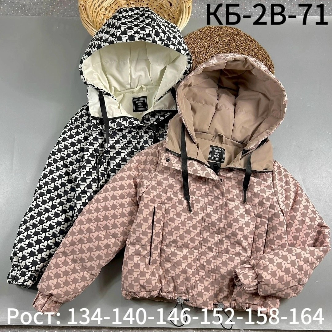 куртки ,куртка детская,демисезонная куртка для девочек,детские куртки,