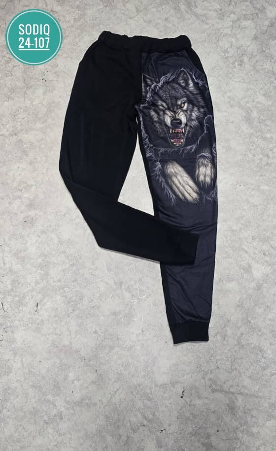 спортивные штаны с принтом,мужские спортивные штаны,спортивные штаны,брюки мужские спортивные,мужской брюки