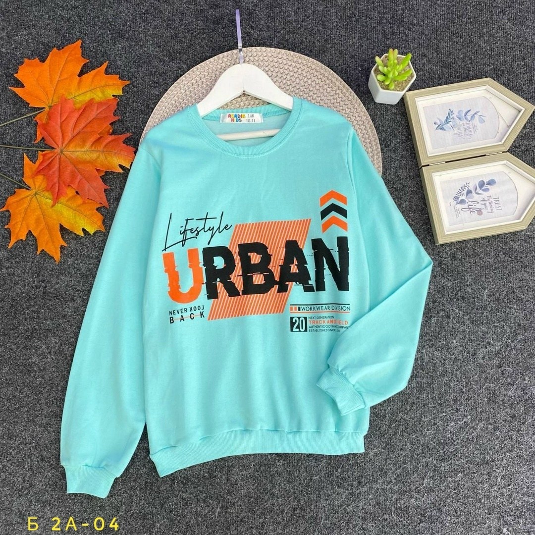 свитшот женская,толстовка кофта,свитшот и толстовка,cвитшот для мальчика,cвитшот для девочки