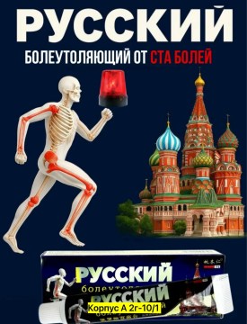 Одежда