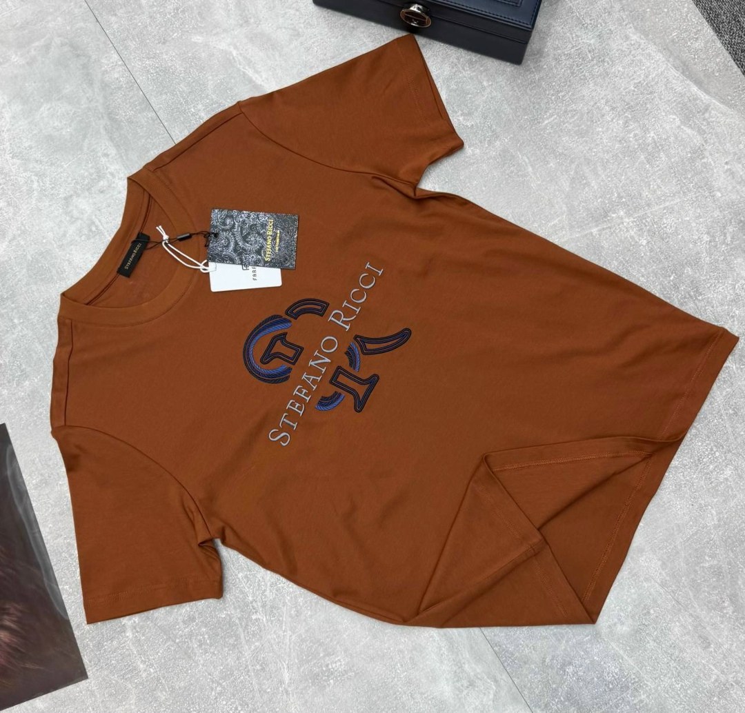 мужская футболка,футболка,брендовые футболки,футболка loro piana,футболки мужские брендовые