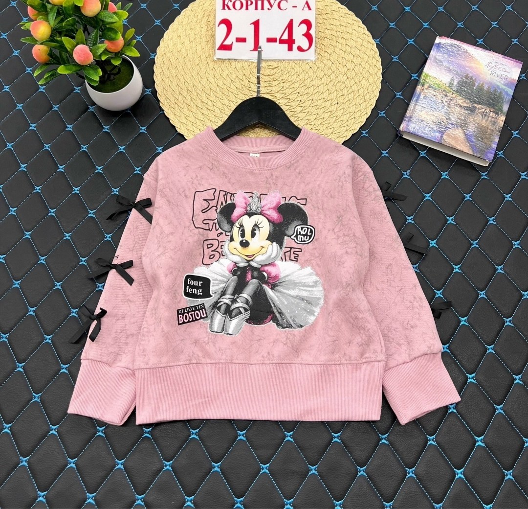джемпер для девочек,cвитшот для девочки,свитшот толстовка для девочки,джемпер детский,толстовка для девочек