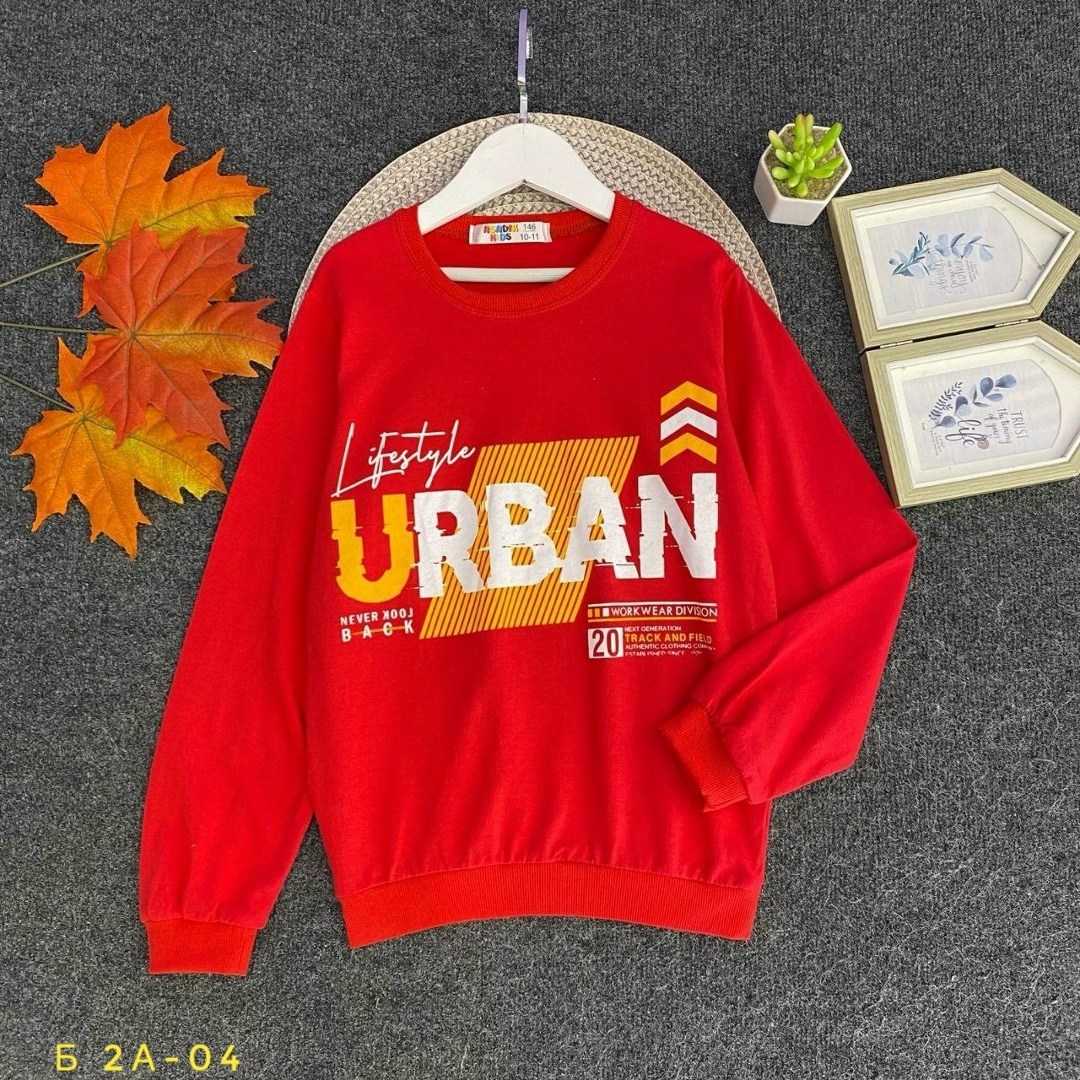 свитшот женская,толстовка кофта,свитшот и толстовка,cвитшот для мальчика,cвитшот для девочки