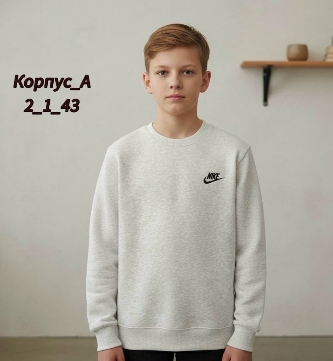 свитшот nike,свитшот мужской nike,свитшот nike оверсайз,толстовка nike,толстовка кофта