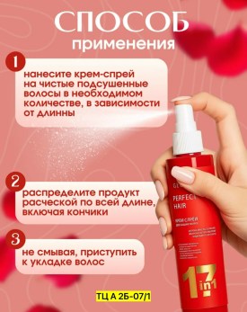 Одежда