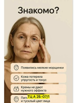 Одежда