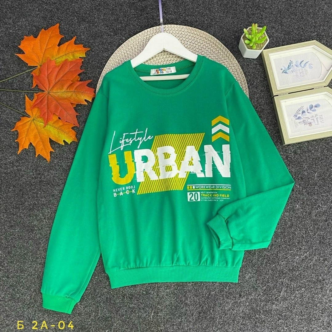 свитшот женская,толстовка кофта,свитшот и толстовка,cвитшот для мальчика,cвитшот для девочки