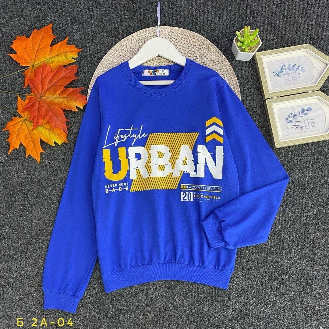 свитшот женская,толстовка кофта,свитшот и толстовка,cвитшот для мальчика,cвитшот для девочки