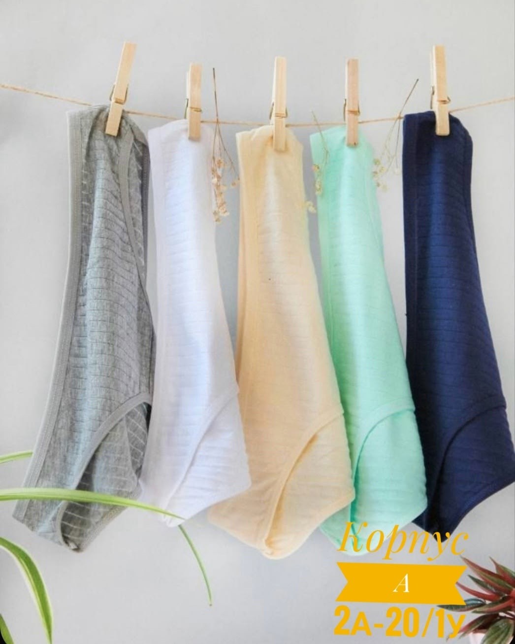 трусы женские набор хлопок,комплект женских трусов,комплект трусы женские слипы,трусы женские слипы хлопок,комплект трусов слипы