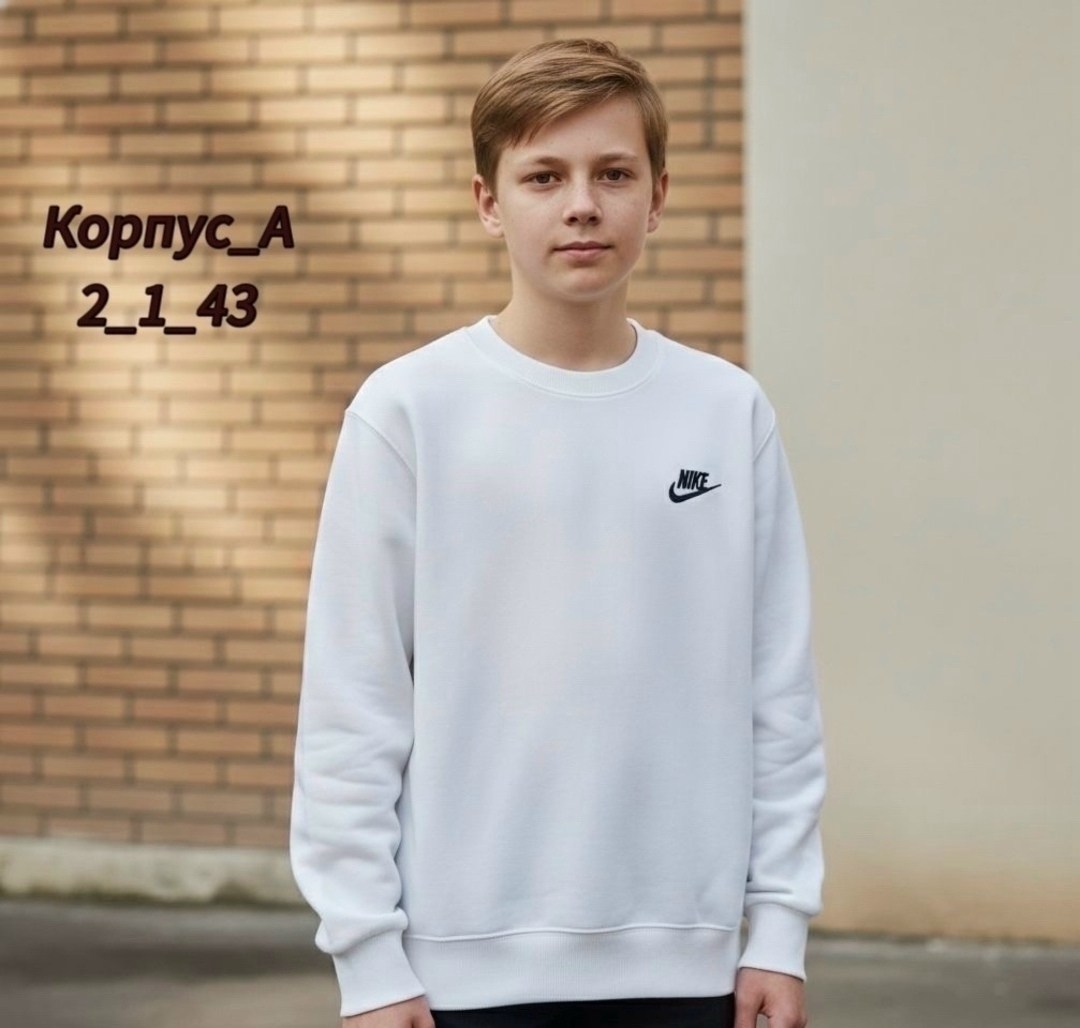 свитшот nike,свитшот мужской nike,свитшот nike оверсайз,толстовка nike,толстовка кофта