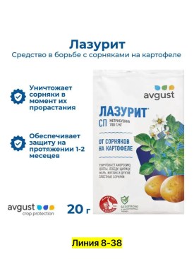 Одежда