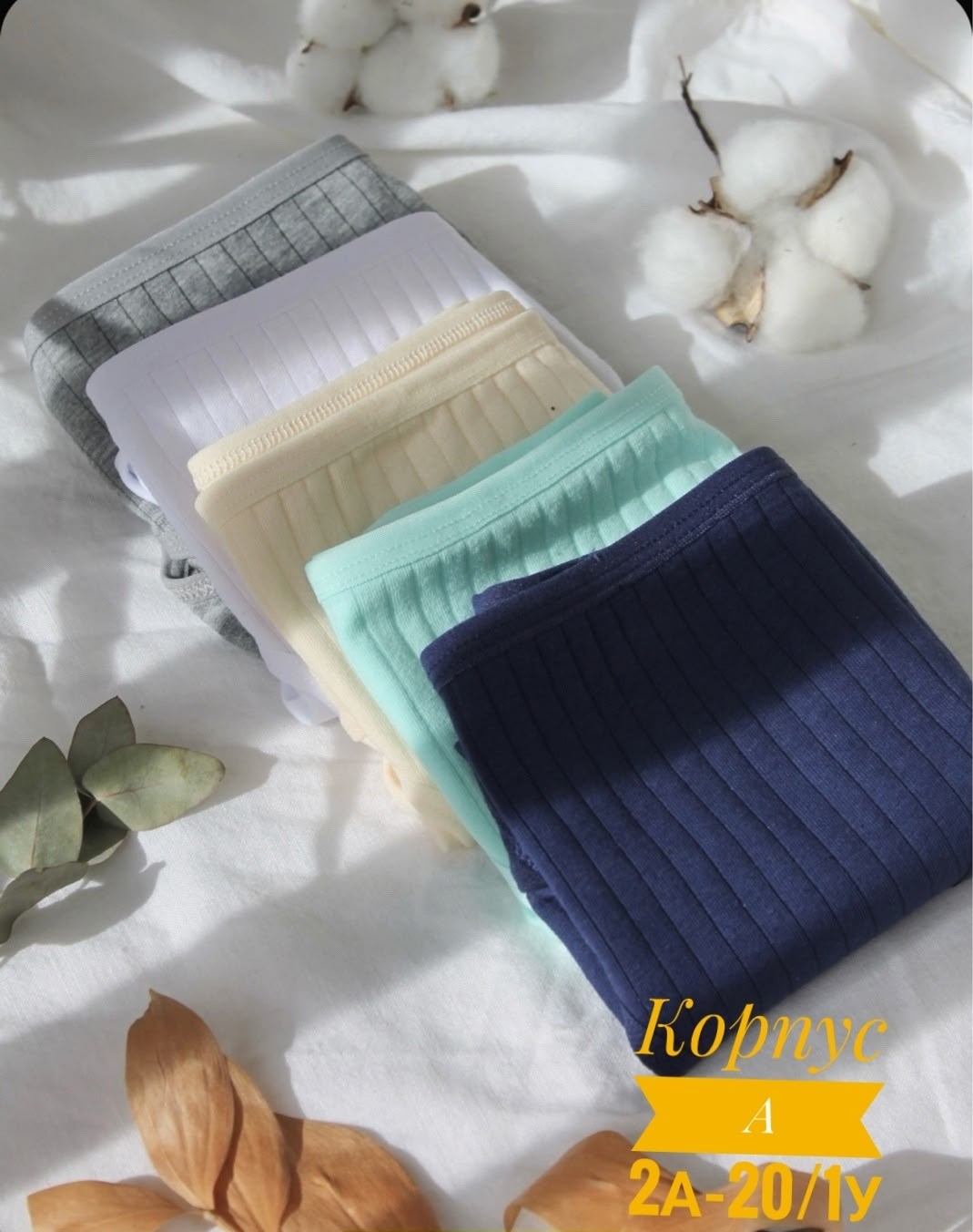 трусы женские набор хлопок,комплект женских трусов,комплект трусы женские слипы,трусы женские слипы хлопок,комплект трусов слипы