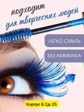 Одежда