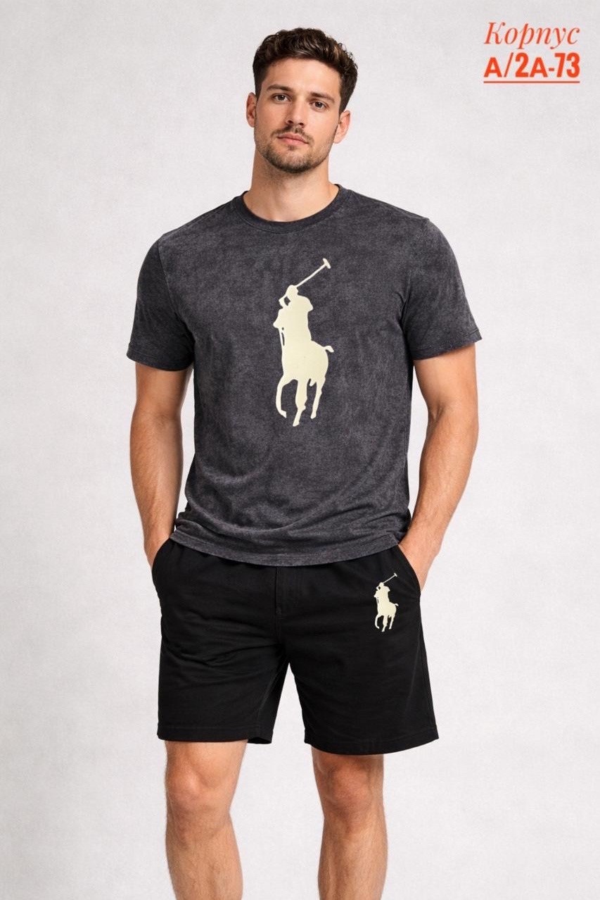 футболки polo ralph lauren,мужские футболки ralph lauren,футболки мужские,polo ralph lauren,polo ralph lauren polo