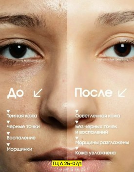 Одежда