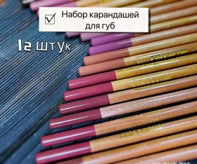 Одежда