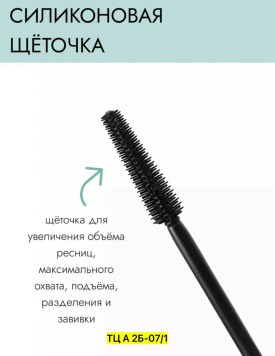Одежда