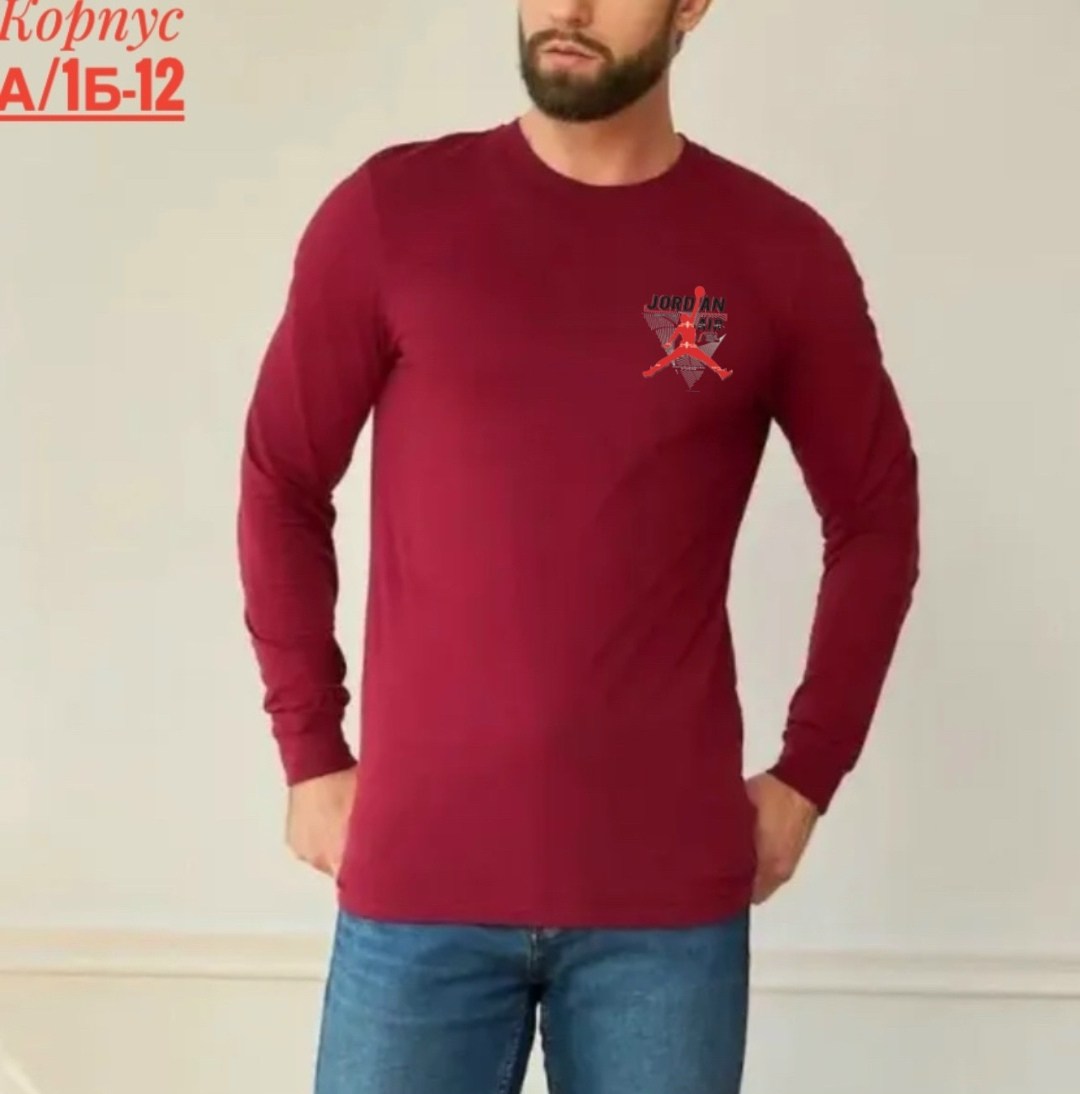 футболки для мужчин,мужская кофта,свитшот мужская,мужские свитшоты,лонгслив