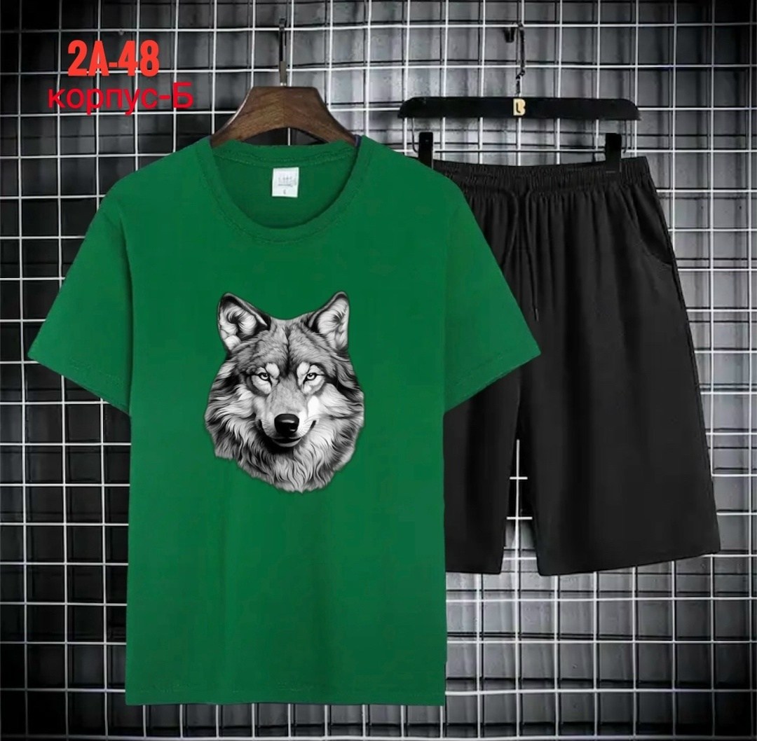 спортивные мужские костюмы,спортивные костюм,футболки комплект,,одежда комплект