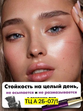 Одежда