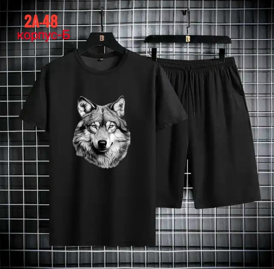 спортивные мужские костюмы,спортивные костюм,футболки комплект,,одежда комплект