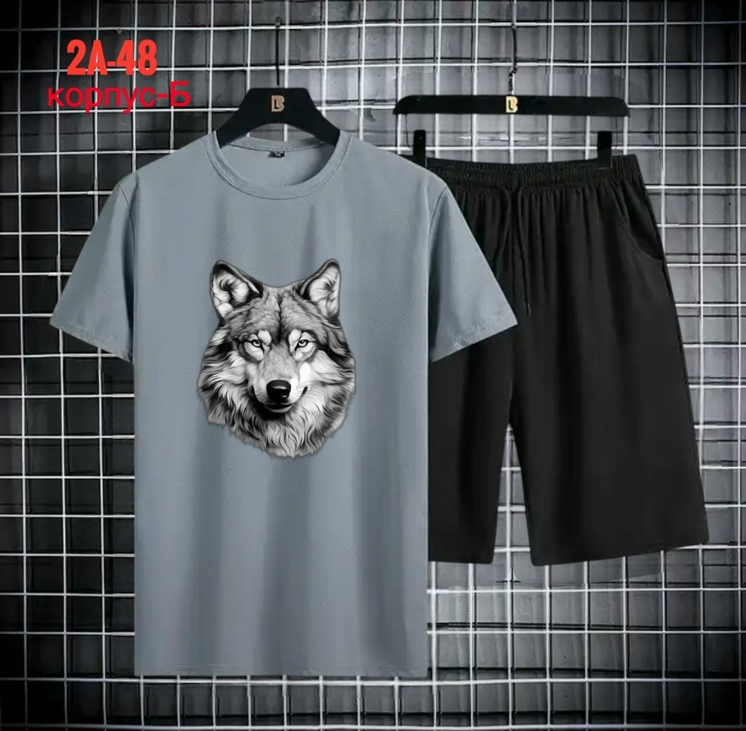 спортивные мужские костюмы,спортивные костюм,футболки комплект,,одежда комплект